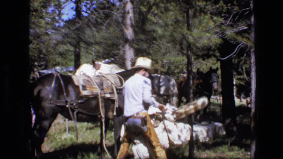 A cowboy handles rope or loose gear beside a saddled pack horse, with additional horses standing in the wooded background.