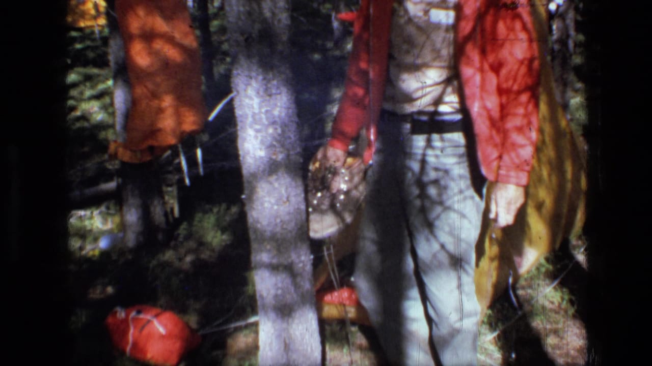 Two campers partially visible among trees with a red backpack on the ground.