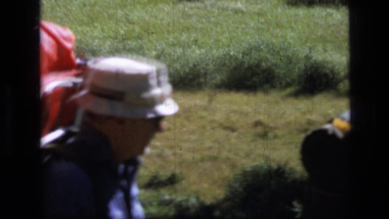Hiker in a white hat carries a backpack through a grassy area.