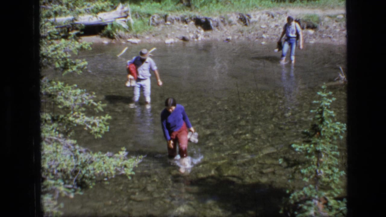 Family members wade through a clear shallow stream in a forested area.