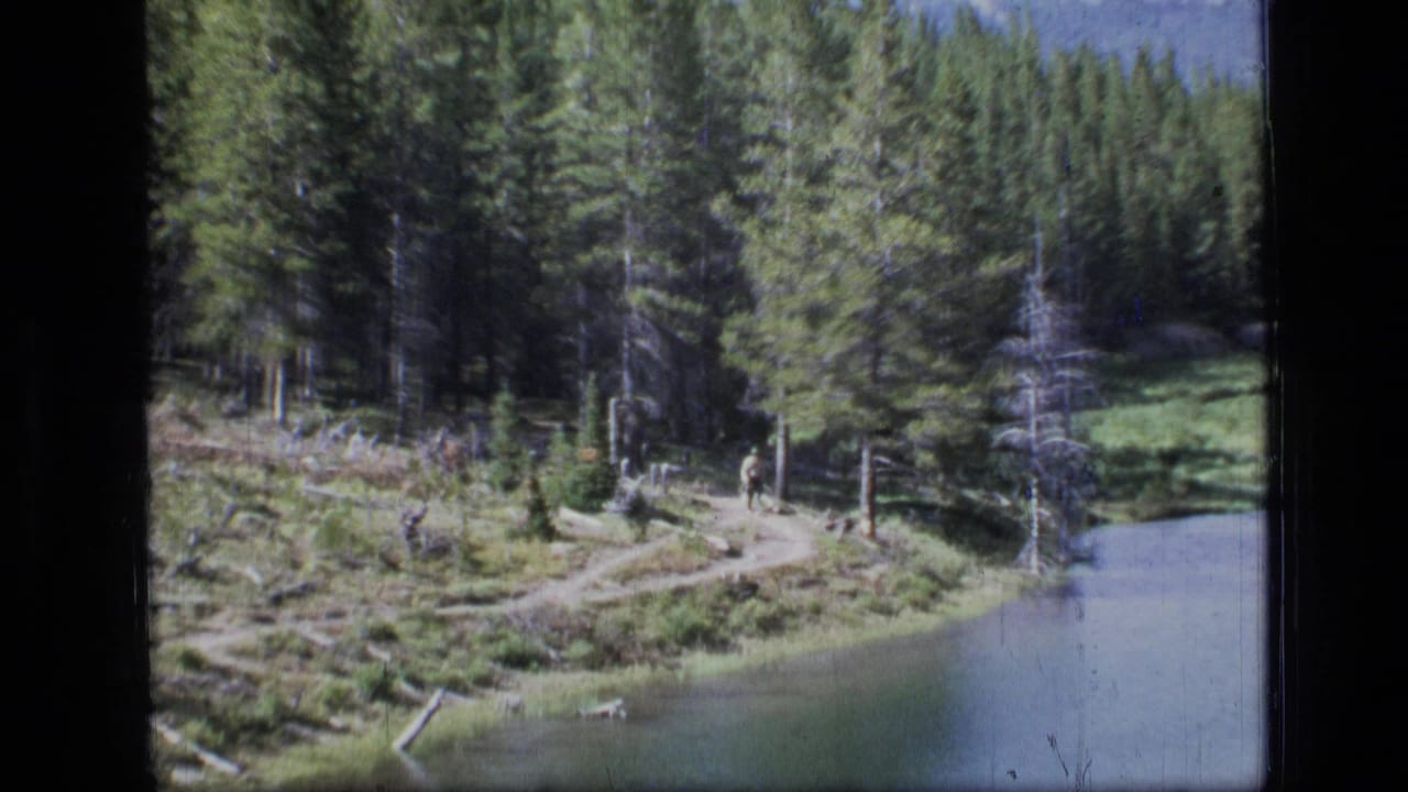 Forest trail beside a calm lake with evergreen trees and distant hills.