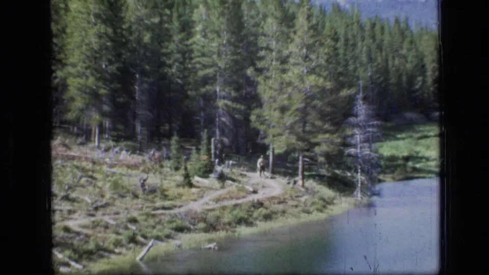 1973 Montana wilderness view of a dirt trail curving beside a lake, with dense pines, fallen logs, and distant mountains.