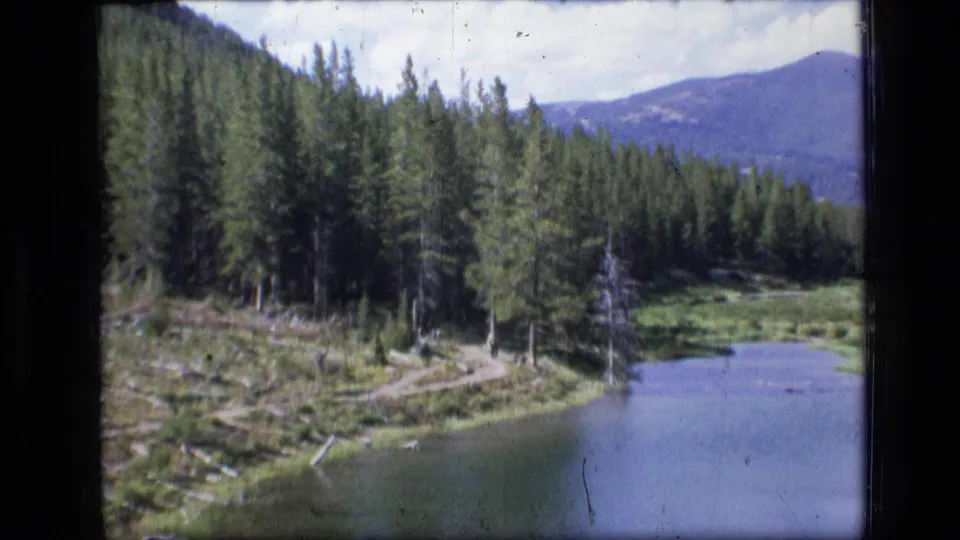 The hiker remains distant on the lakeside trail, framed by evergreen forest, fallen wood, water, and hazy mountains.