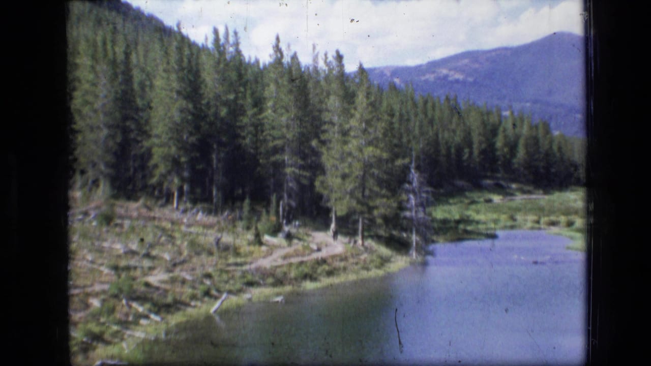 1973 8mm view of Scapegoat Wilderness, Montana, showing a river bend, evergreen trees, a bank path, downed logs, and distant mountain slope.