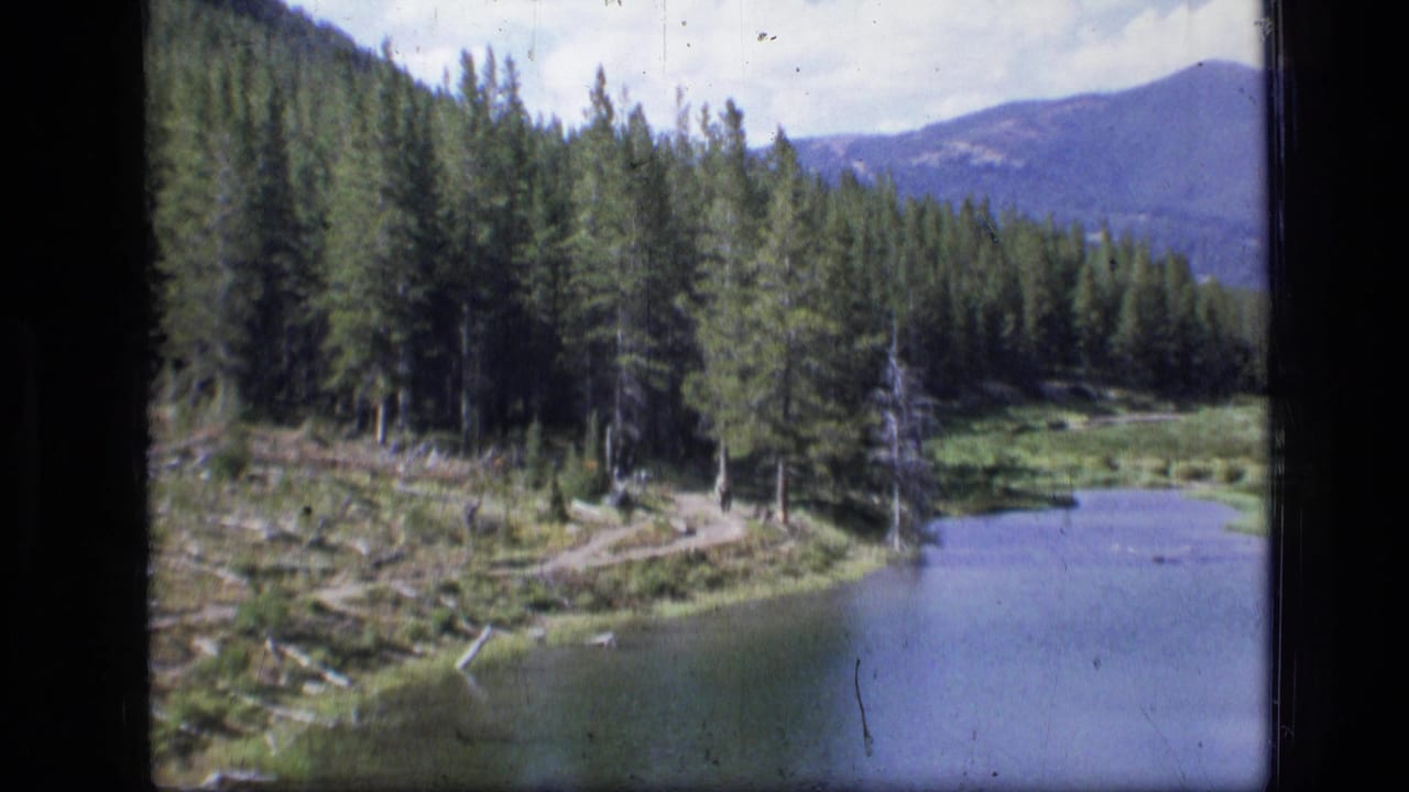 Scapegoat Wilderness landscape on 8mm film, with conifers, a winding bank path, calm water, scattered logs, and a distant mountain beneath clouds.
