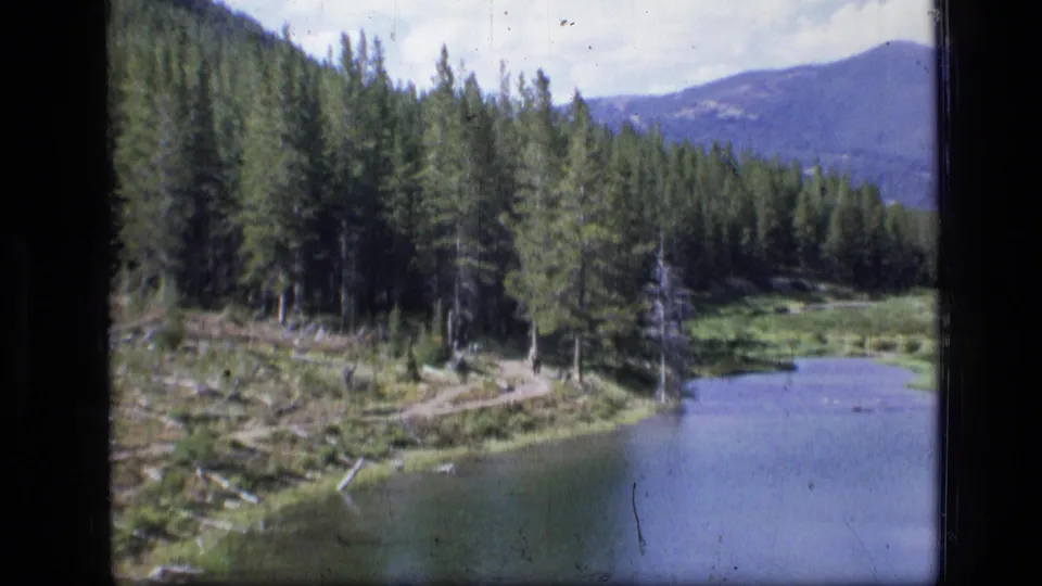 1973 Montana wilderness frame with evergreen forest, river edge, dirt path, grassy clearing, deadwood, and a hazy mountain slope in the distance.