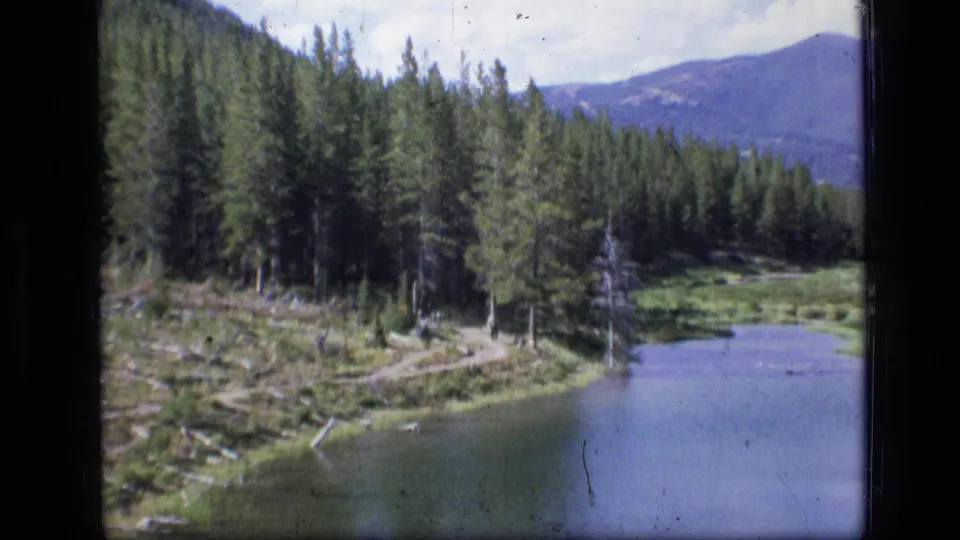 Scapegoat Wilderness 8mm frame showing a calm river or lake edge, dense conifers, a winding path, fallen logs, meadow grass, and mountain backdrop.