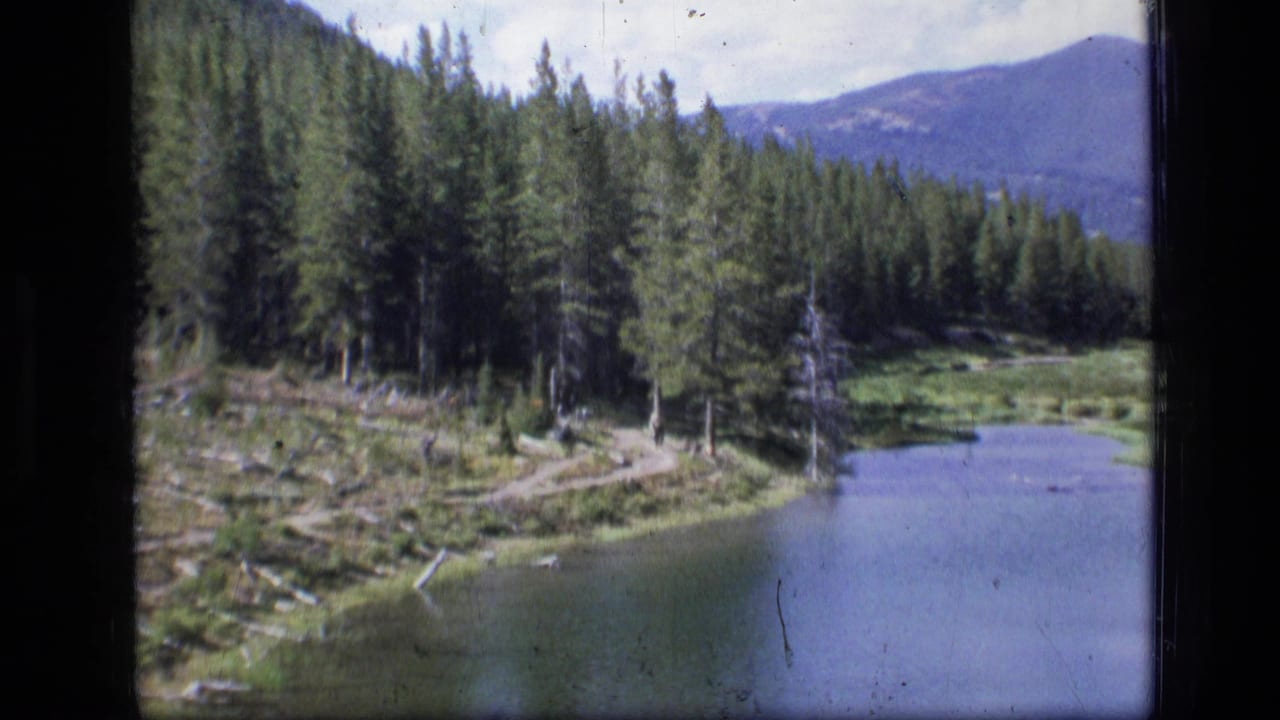 1973 Montana wilderness view showing still water, dense conifers, a narrow shoreline path, scattered logs, and blue mountains in the distance.