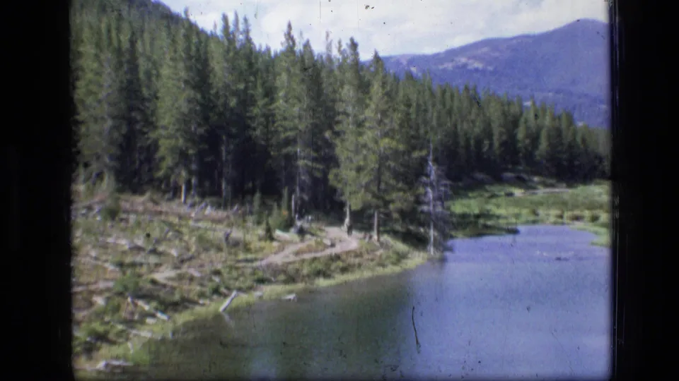 1973 Montana wilderness view showing still water, dense conifers, a narrow shoreline path, scattered logs, and blue mountains in the distance.