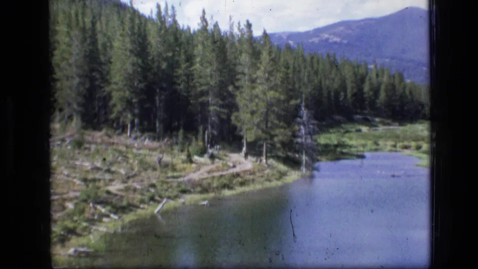 1973 8mm home-movie view of a quiet Montana wilderness lakeshore with conifers, fallen timber, and blue mountain ridges.