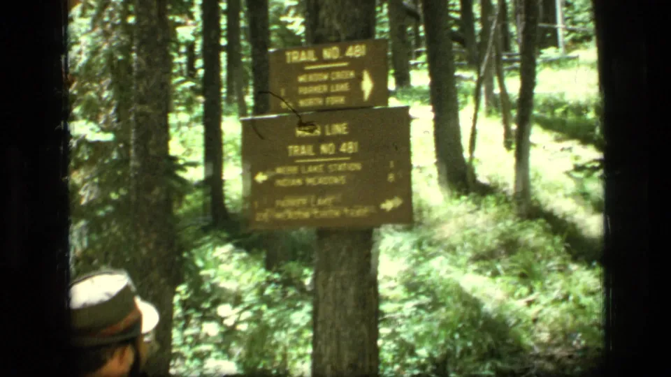 1973 8mm Montana forest view of a wooden Trail No. 481 marker, with a hiker in a hat partly visible near the lower edge.