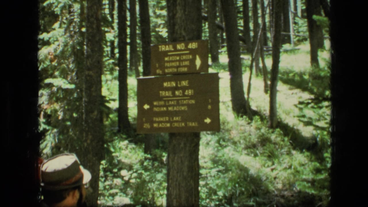 Scapegoat Wilderness trail marker for Trail No. 481 seen among trees, with a partly visible hiker at the bottom edge.