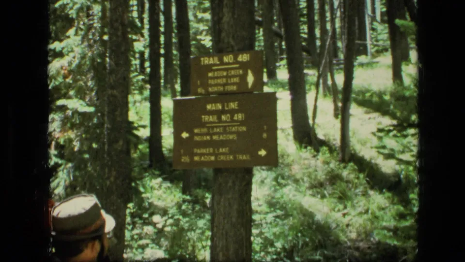 Scapegoat Wilderness trail marker for Trail No. 481 seen among trees, with a partly visible hiker at the bottom edge.