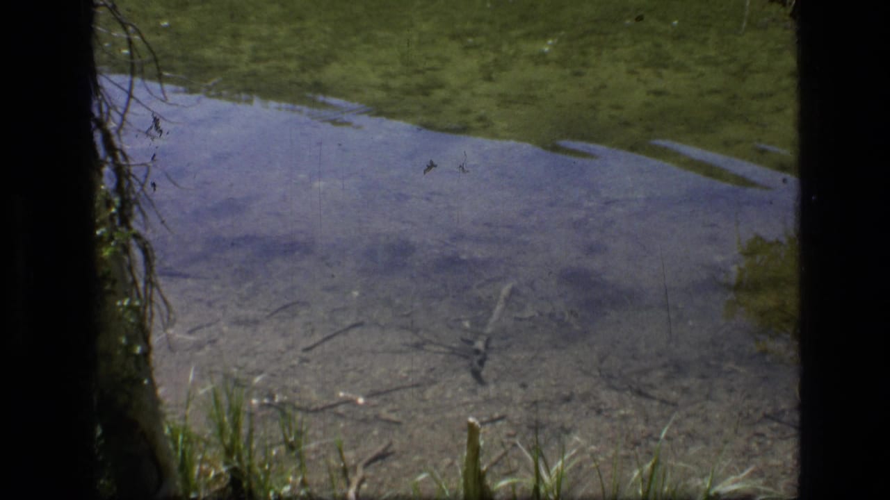 Scapegoat Wilderness pond view with clear water, submerged twigs, green shoreline, and a dark vertical frame border through the center.