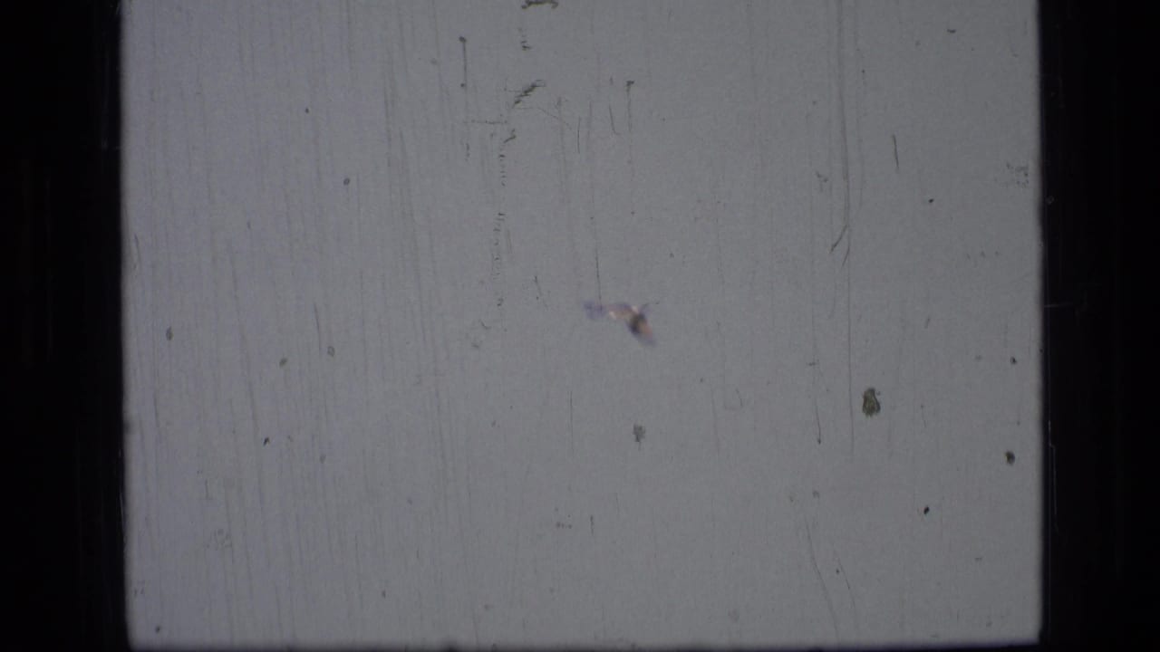 Opening 8mm frame with pale exposure, black gate borders, visible scratches, and little landscape detail.