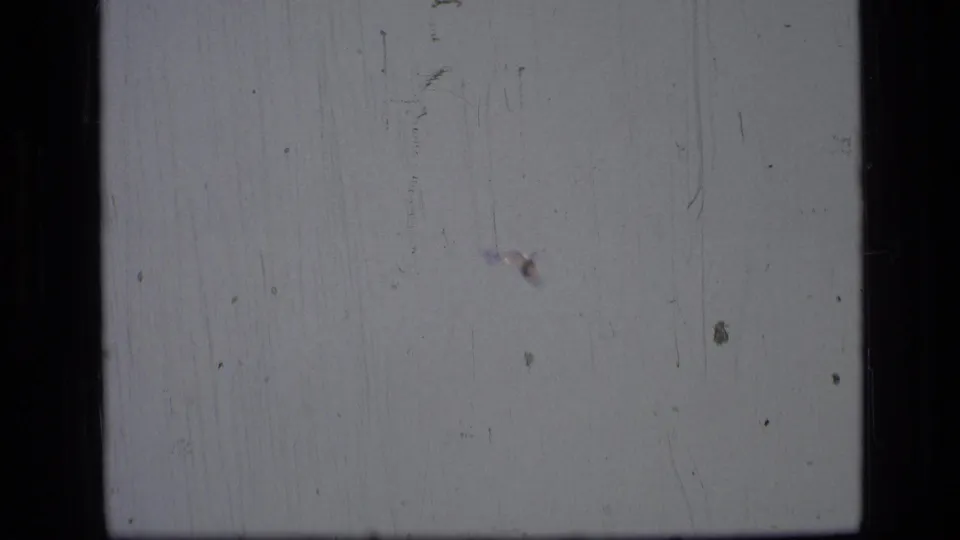 Opening 8mm frame with pale exposure, black gate borders, visible scratches, and little landscape detail.