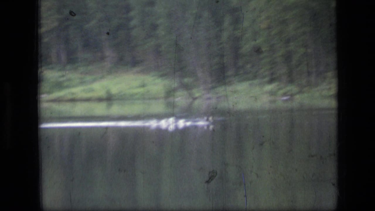 Calm lake with evergreen shoreline and a small white wake near the water surface.