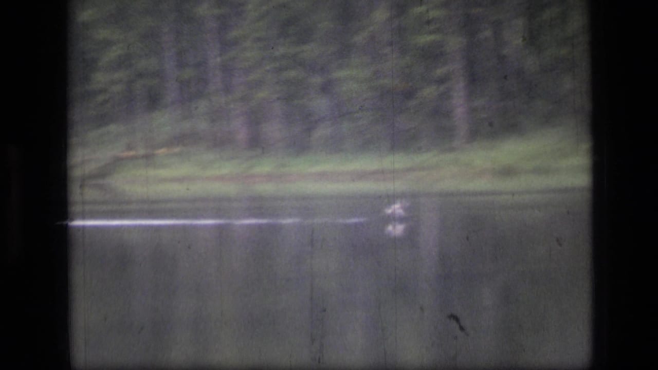 1973 Montana wilderness lake view with a bright moving streak on the water beneath an evergreen bank.