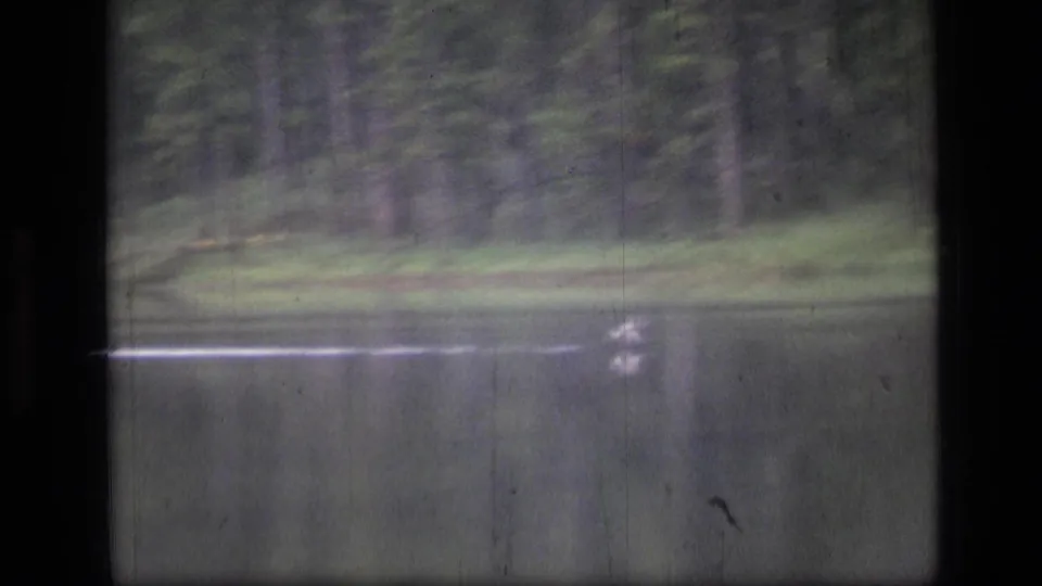 1973 Montana wilderness lake view with a bright moving streak on the water beneath an evergreen bank.