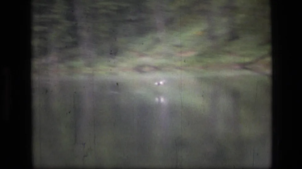 Soft, handheld 8mm view of a Montana forest lake with reflected trees and pale water highlights.