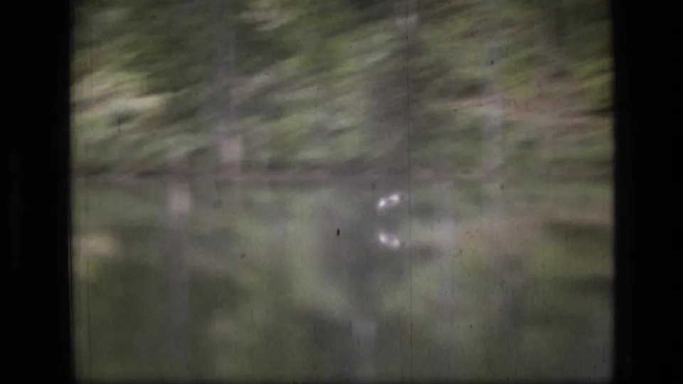 Final 1973 Scapegoat Wilderness frame with soft lake reflections and a small bright bird or wake shape on the water.