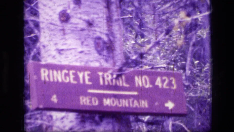 1973 Montana wilderness frame showing the Ringeye Trail No. 423 sign pointing toward Red Mountain.