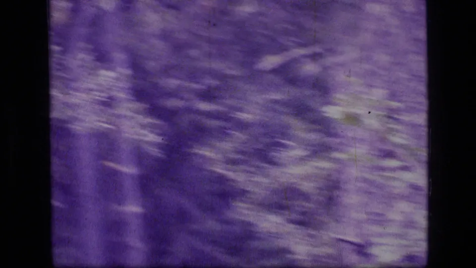 Soft, motion-blurred 8mm view of brush and forest floor in the Montana wilderness footage.