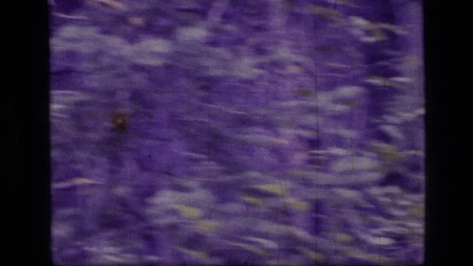 1973 8mm Montana wilderness footage showing blurred forest brush and trees with a strong purple color cast.