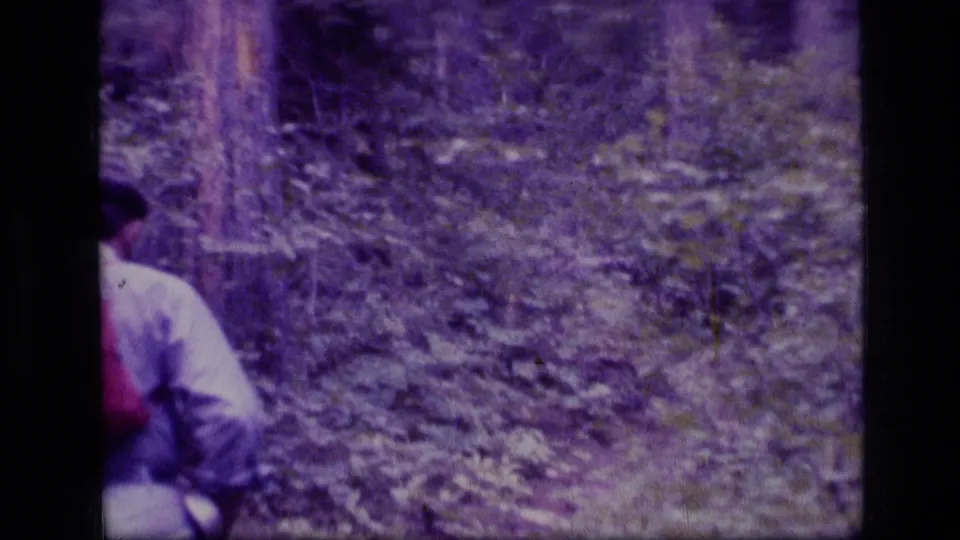 The hiker remains partly in frame from behind as the 8mm camera follows a brushy Montana wilderness trail.