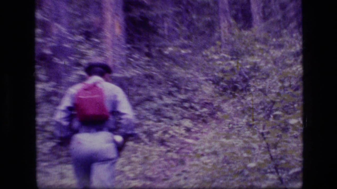 1973 Montana wilderness footage showing a hiker with a red backpack moving away through dense forest undergrowth.