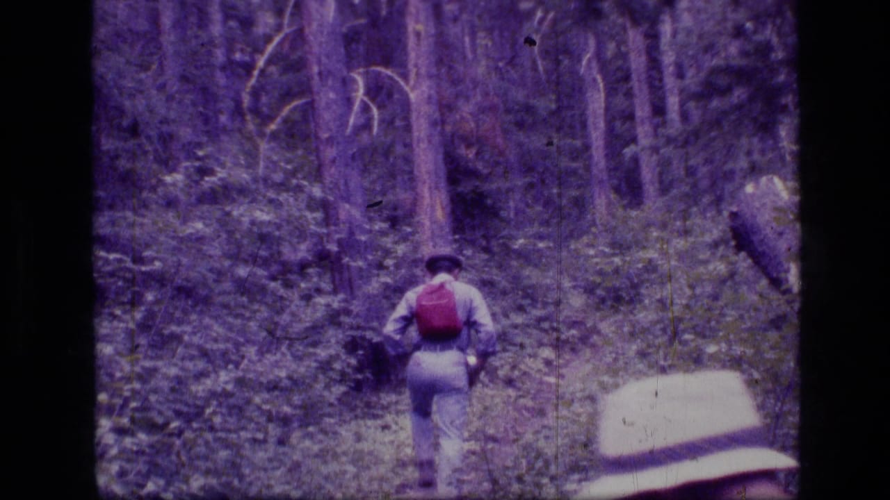 A hiker with a red backpack walks deeper into the Scapegoat Wilderness forest, with another hiker's hat partly visible in the foreground.