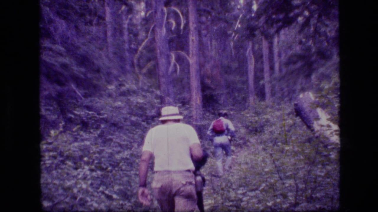 1973 8mm home-movie frame of two hikers moving along a shaded trail in Scapegoat Wilderness, Montana.
