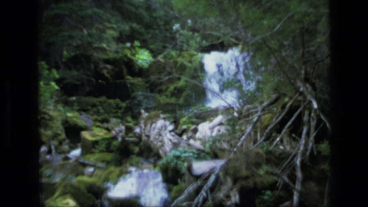 Water cascades through mossy rocks in a shaded forest creek.