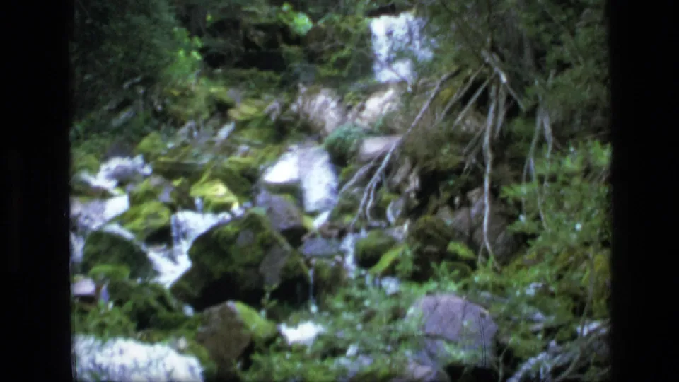 Vintage 8mm view of rushing water, mossy boulders, and forest growth in Scapegoat Wilderness, Montana.