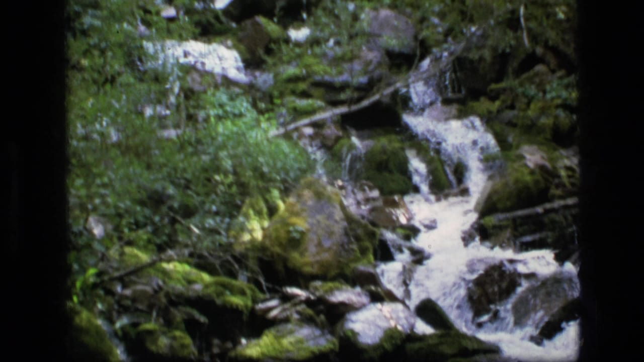 1973 8mm view of a creek descending through moss-covered rocks in the Scapegoat Wilderness area of Montana.