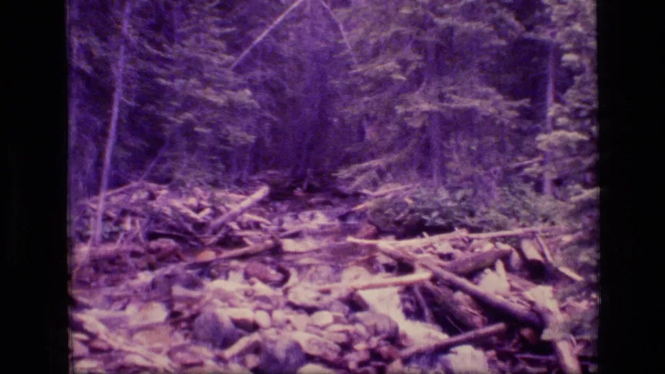 A magenta-shifted 8mm frame shows a rocky creek bed or wash with fallen wood and dense trees in the documented Montana wilderness clip.