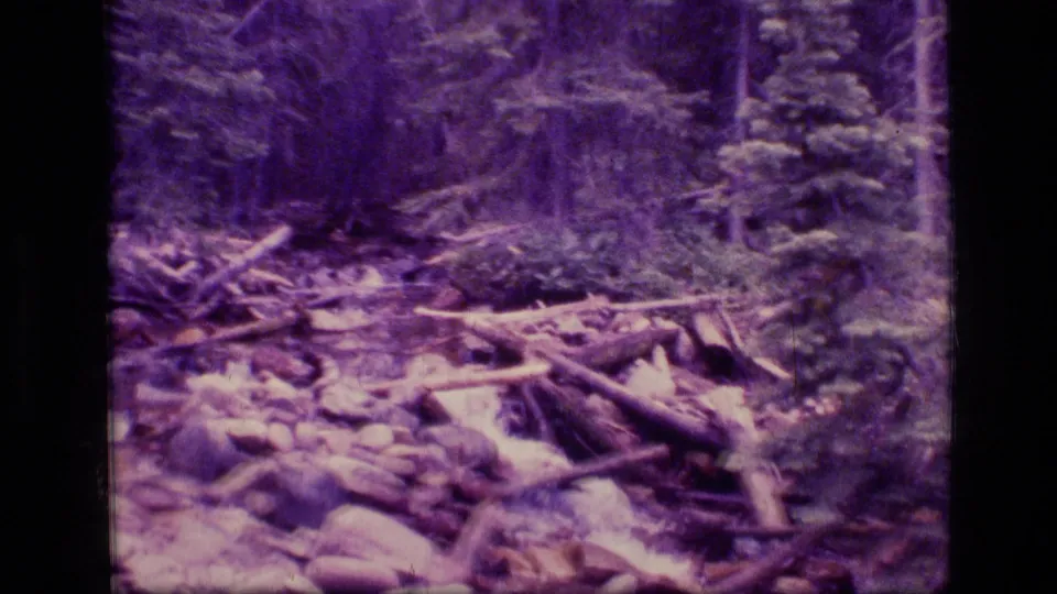 1973 8mm view of a Scapegoat Wilderness forest stream flowing through rocks, branches, and fallen timber.