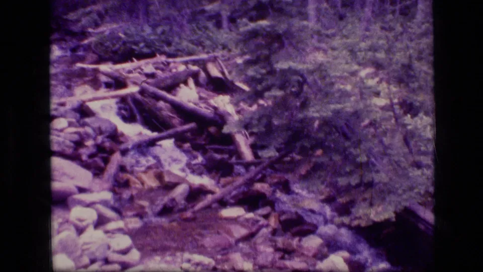 Aged 8mm frame of a Montana wilderness creek moving past rocks, downed branches, and dense forest growth.