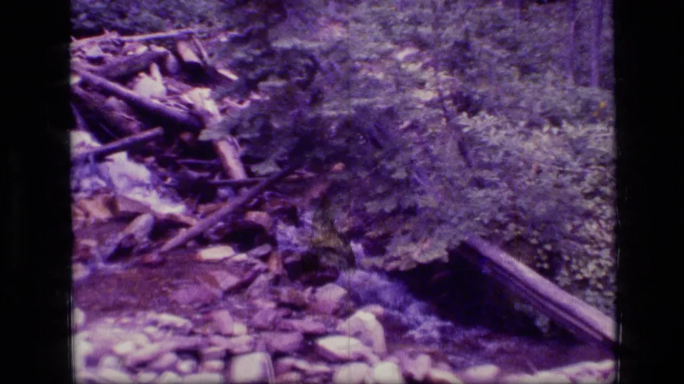 Handheld 8mm view of a Scapegoat Wilderness creek with rocks, logs, a dirt bank, and forest vegetation.