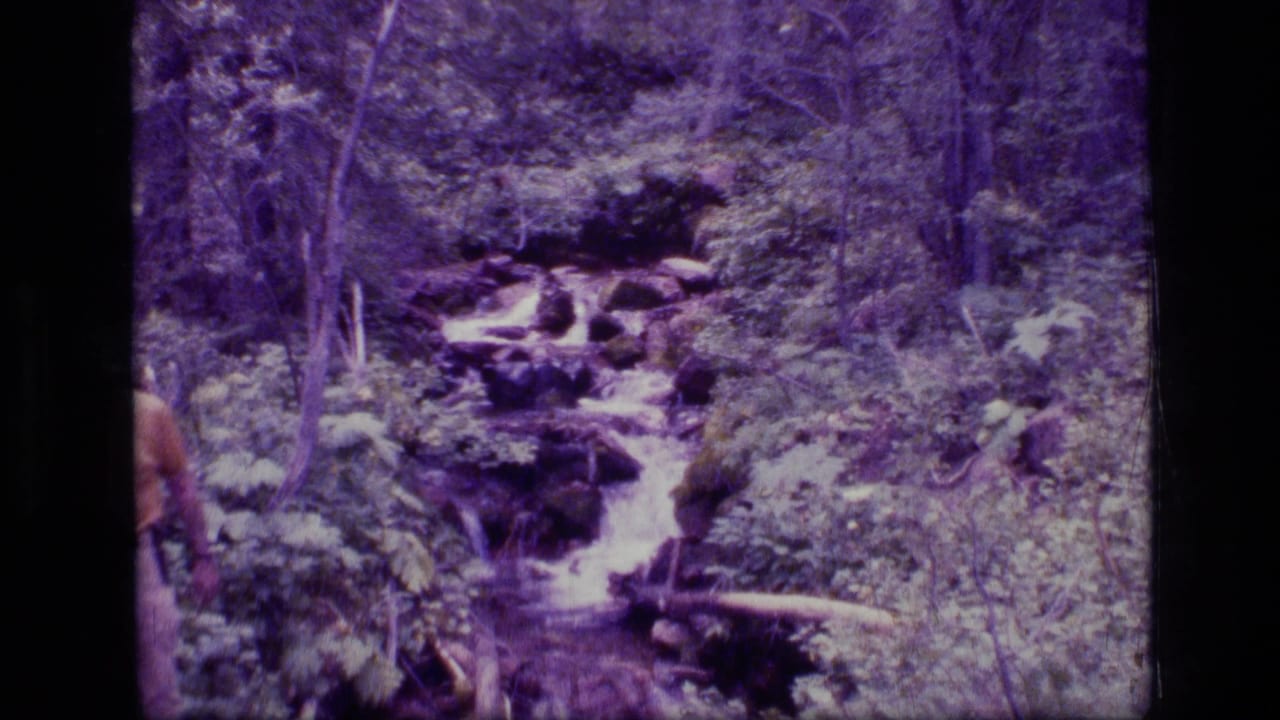 1973 8mm view of a rocky forest stream in Scapegoat Wilderness, Montana, with a partial visitor figure at the left edge.