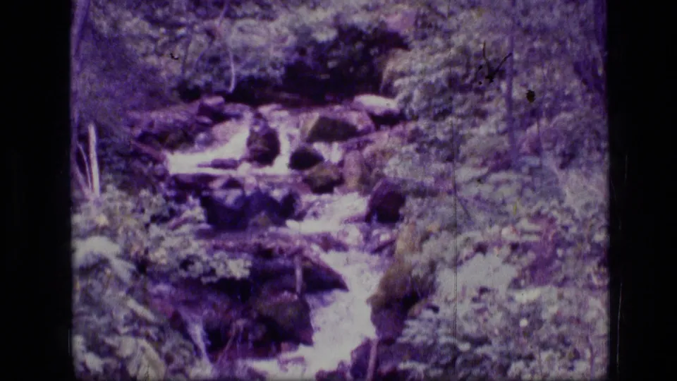 Vintage 8mm frame of a Montana wilderness creek flowing through rocks, moss, and dense forest plants.