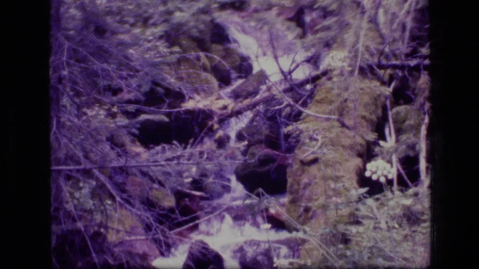Scapegoat Wilderness creek scene with fallen branches, mossy rocks, and rushing water in grainy 1973 8mm footage.