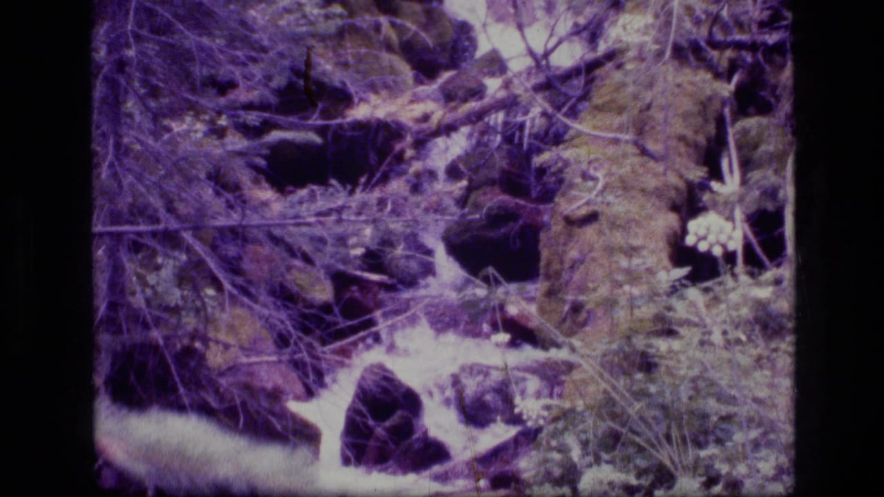 1973 8mm frame of a small stream flowing between dark rocks and vegetation in Scapegoat Wilderness, Montana.