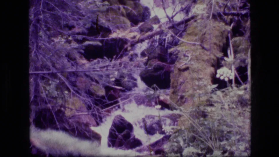 1973 8mm frame of a small stream flowing between dark rocks and vegetation in Scapegoat Wilderness, Montana.