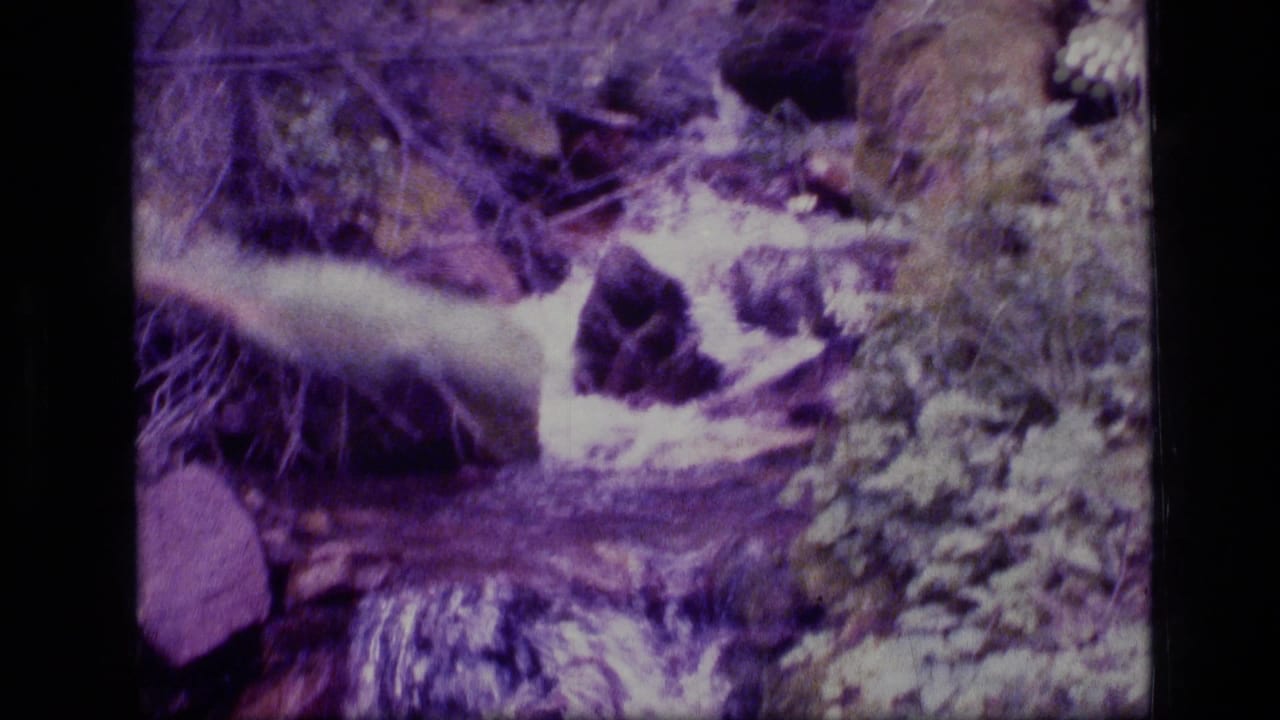 A purple-tinted 8mm view of moving water, rocks, and streamside plants in the Montana wilderness.