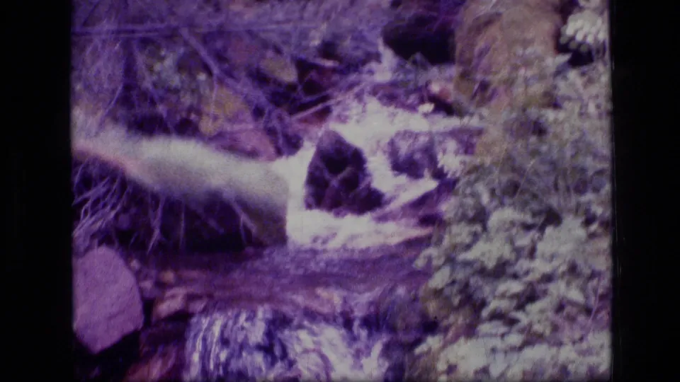 A purple-tinted 8mm view of moving water, rocks, and streamside plants in the Montana wilderness.