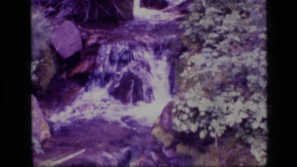 1973 home-movie frame showing a small rocky waterfall and streamside foliage in Scapegoat Wilderness.
