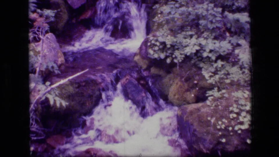 Purple-cast 8mm frame of foaming stream water moving around rocks and plants in Scapegoat Wilderness, Montana.