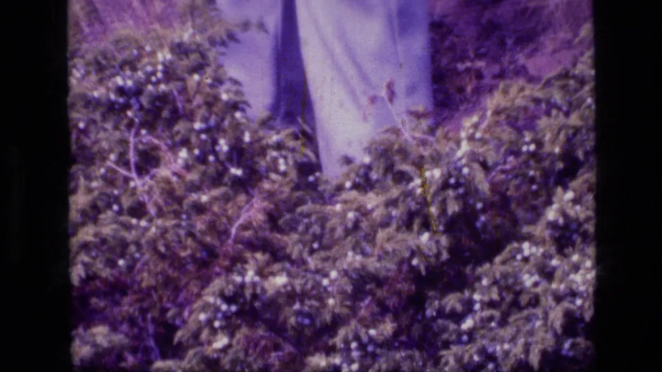 A partially visible person in light trousers stands behind shrubs in 1973 Scapegoat Wilderness footage.