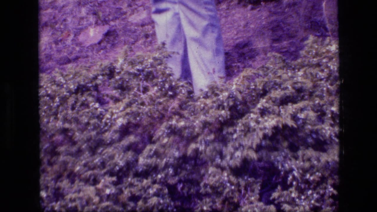 Lower legs in white pants stand behind dense shrubs and brush.